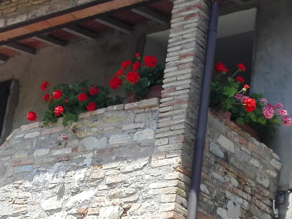 Villa Fattoria Di Rigone Coltavolino Exterior foto