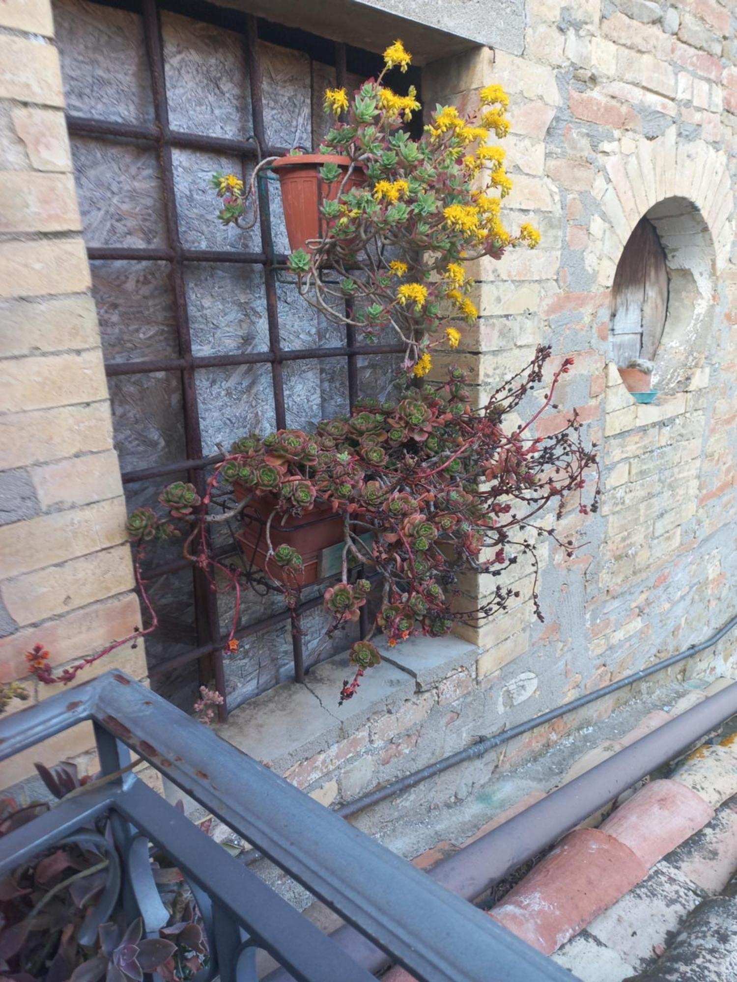Villa Fattoria Di Rigone Coltavolino Exterior foto
