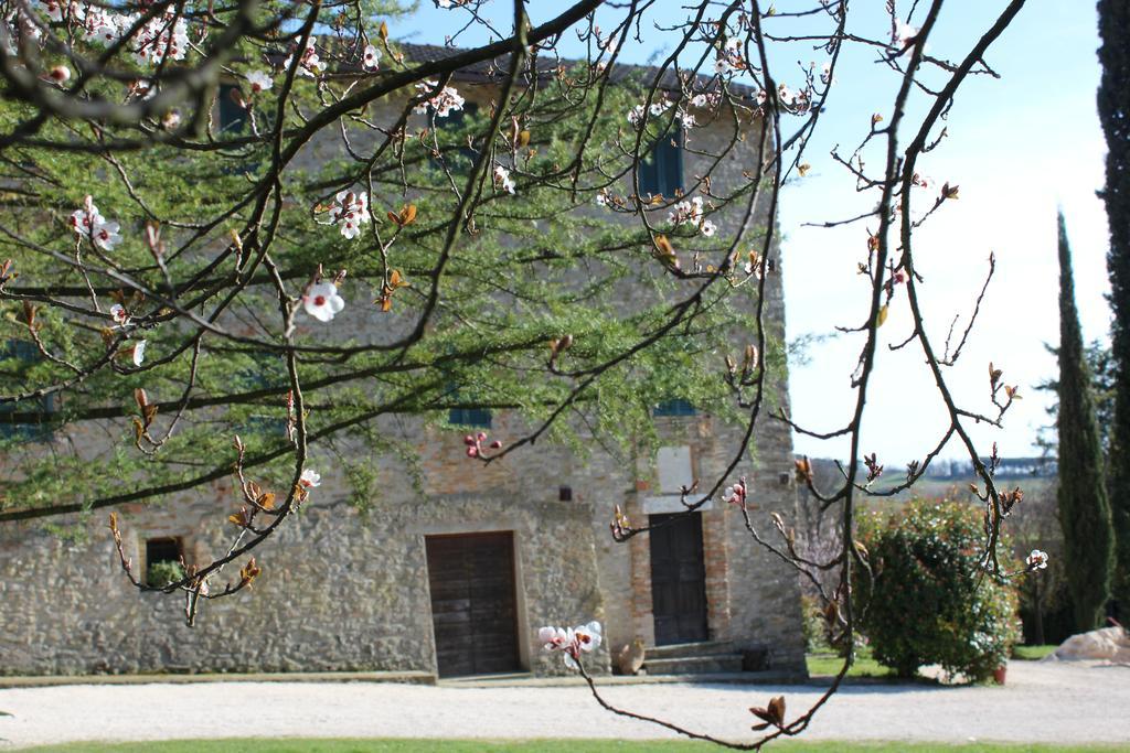 Villa Fattoria Di Rigone Coltavolino Exterior foto