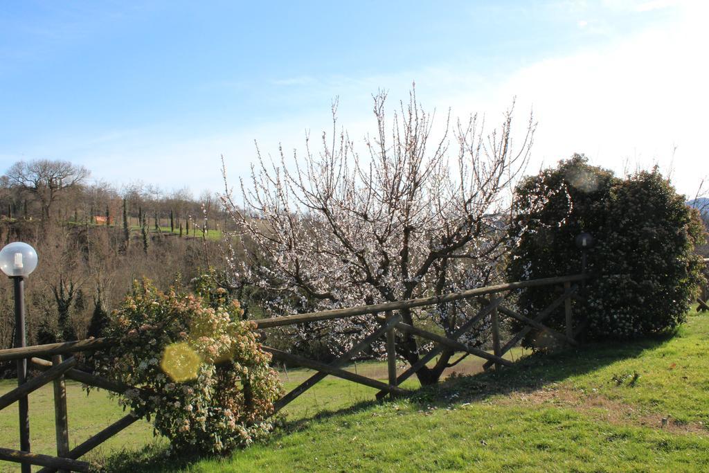 Villa Fattoria Di Rigone Coltavolino Exterior foto