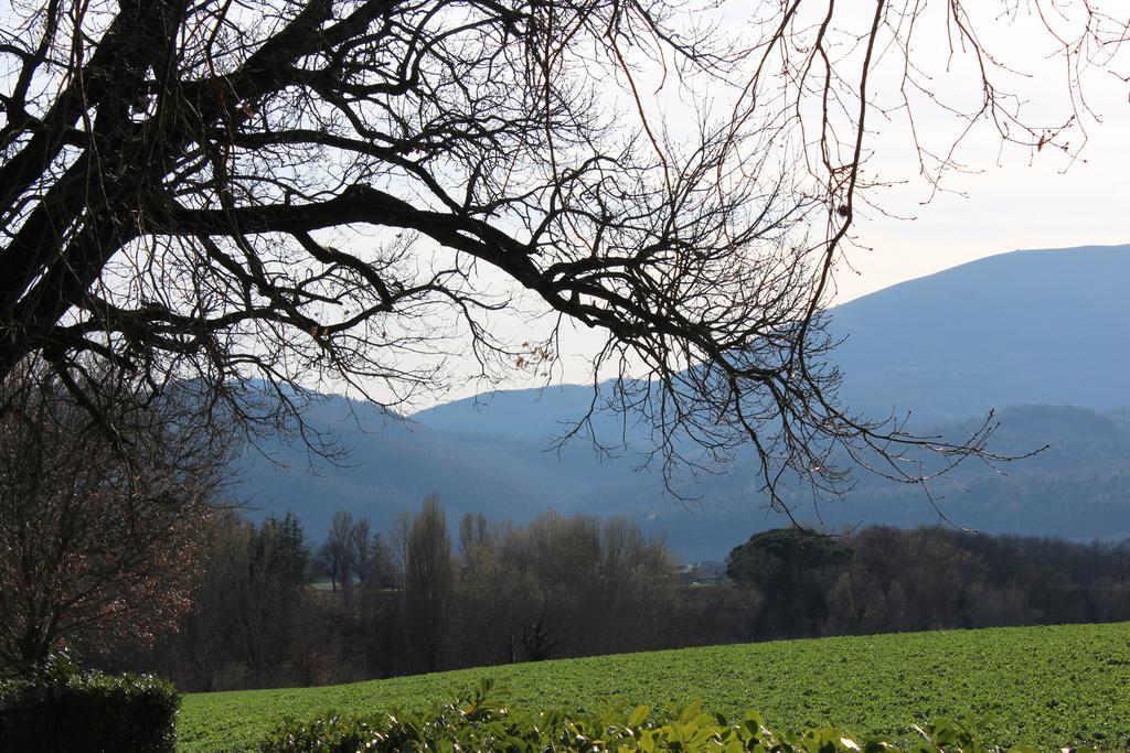 Villa Fattoria Di Rigone Coltavolino Exterior foto